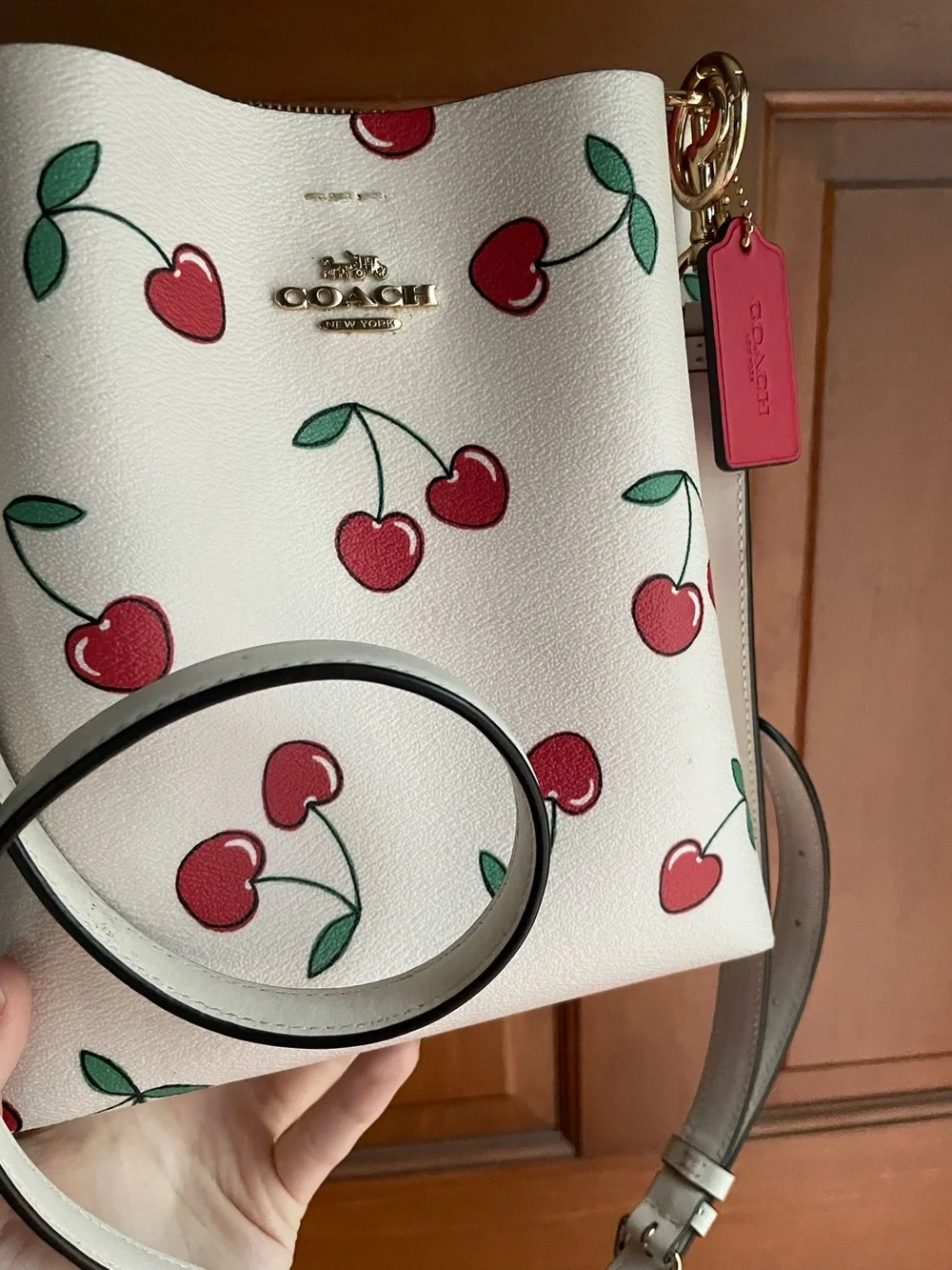 Coach Mollie Bucket Bag 22 in cherry print